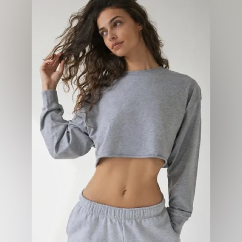 Aritizia TNA Laid Back Cropped Longsleeve in Heather Chrome Size M
